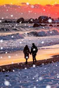 冬日威海旅行攻略:雪與海的極致浪漫