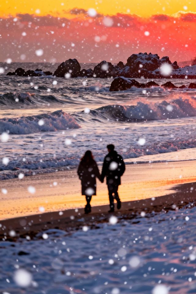 冬日威海旅行攻略:雪與海的極致浪漫 冬日威海旅行攻略:雪與海的極致浪漫