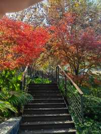 冬日治癒之旅|宜春私人溫泉天花板被我搵到喇! 江西宜春呢間溫泉酒店都真係好正呀,推開窗就見到滿