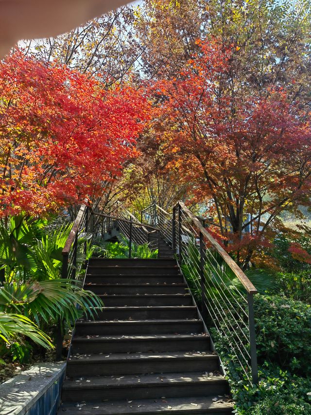 冬日治癒之旅|宜春私人溫泉天花板被我搵到喇! 江西宜春呢間溫泉酒店都真係好正呀,推開窗就見到滿 冬日治癒之旅|宜春私人溫泉天花板被我搵到喇! 江西宜春呢間溫泉酒店都真係好正呀,推開窗就見到滿