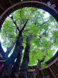 昆明這家法式秘境酒店也太絕了!一秒穿越南法