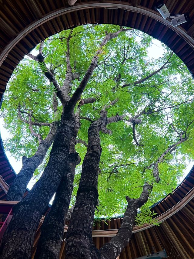 昆明這家法式秘境酒店也太絕了!一秒穿越南法 昆明這家法式秘境酒店也太絕了!一秒穿越南法