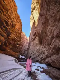 不望祁連山頂雪，錯把張掖當江南