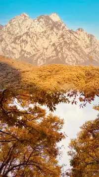 鄭州1.5h直達!小眾免費一日遊!小川西!