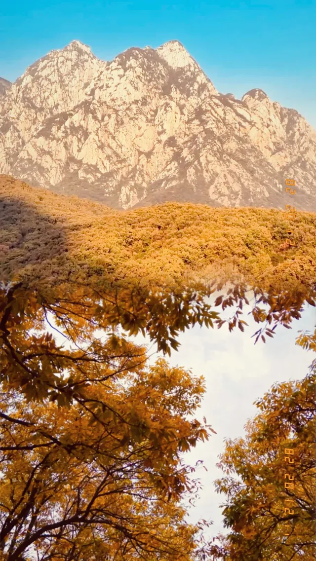 鄭州1.5h直達!小眾免費一日遊!小川西! 鄭州1.5h直達!小眾免費一日遊!小川西!