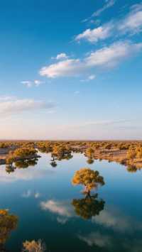 白城小眾探秘旅遊攻略!