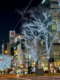 札幌｜白色燈光節