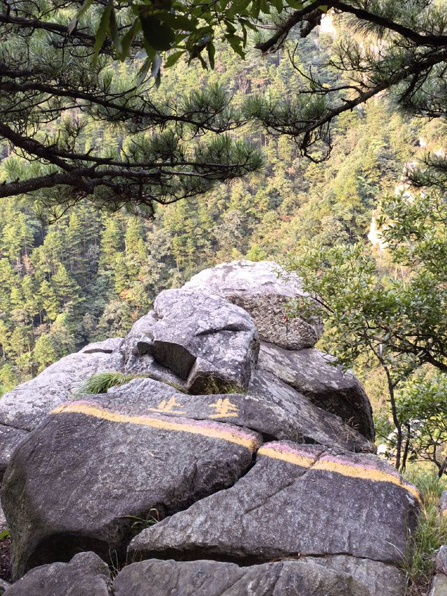 無限風光在險峰！