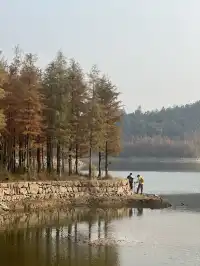 12.1實況live紹興鳳凰山美翻了!!!!!!