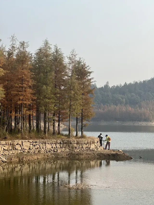 12.1實況live紹興鳳凰山美翻了!!!!!! 12.1實況live紹興鳳凰山美翻了!!!!!!