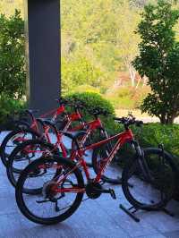 冬日宜興|住進山水畫裡的治癒酒店