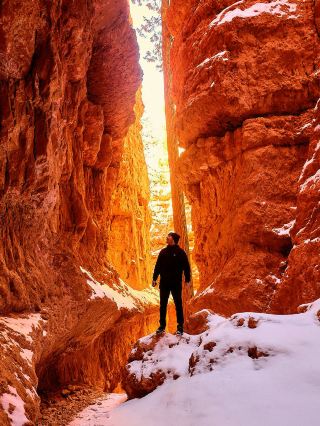 Custom charter unlocks the West Coast loop! Adjustable routes departing from Los Angeles