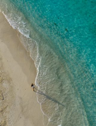 Directly from the water villa to the Blue Hole｜The snorkeling paradise I found in the Maldives