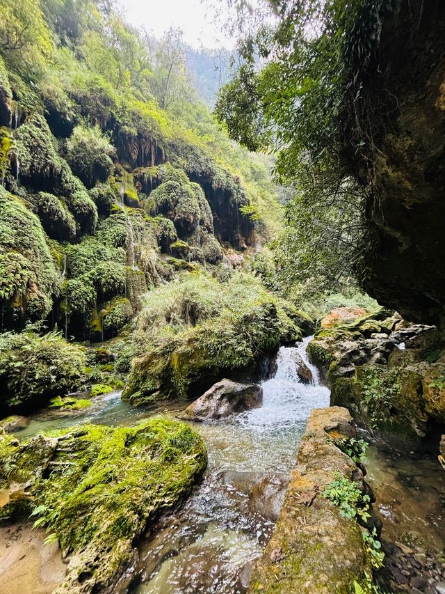貴州貴陽紫江地縫闖入貴州「地心之門」 貴州貴陽紫江地縫闖入貴州「地心之門」