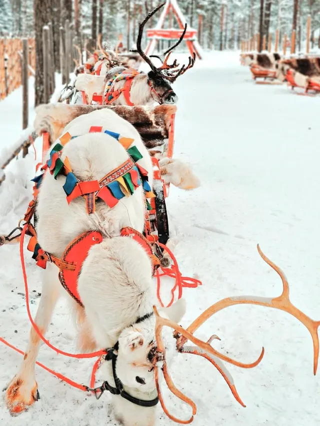 12月歐洲旅行必看!聖誕市集寶藏攻略 12月歐洲旅行必看!聖誕市集寶藏攻略