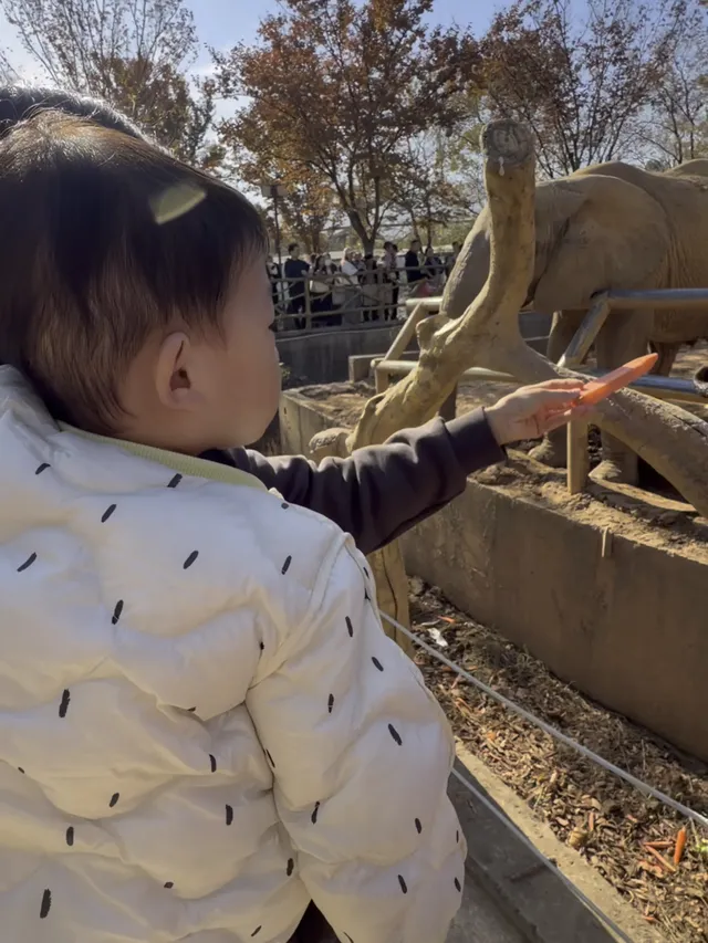 江浙滬遛娃計劃開啟第一站太湖龍之夢