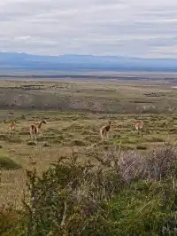 60歲去南極先到智利探個秘