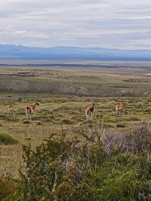 60歲去南極先到智利探個秘 60歲去南極先到智利探個秘
