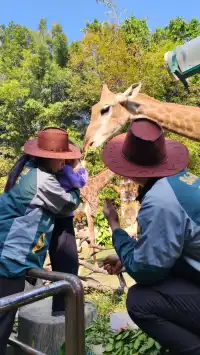 普通票廣州長隆大馬戲C位攻略