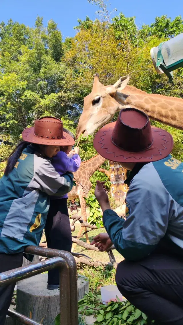 普通票廣州長隆大馬戲C位攻略 普通票廣州長隆大馬戲C位攻略