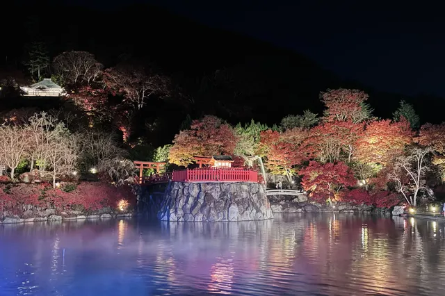 大阪勝尾寺夜間點燈絕美!跟白天完全不同 大阪勝尾寺夜間點燈絕美!跟白天完全不同