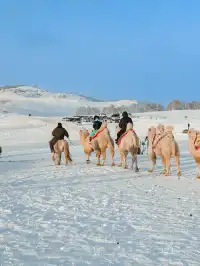 放棄哈爾濱了,帶娃衝高鐵直達的烏蘭布統