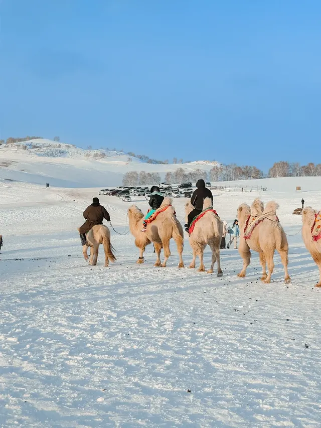 放棄哈爾濱了,帶娃衝高鐵直達的烏蘭布統 放棄哈爾濱了,帶娃衝高鐵直達的烏蘭布統
