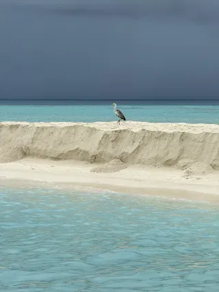 ทริปสองเกาะมัลดีฟส์ - Mathiveri + Gangsi