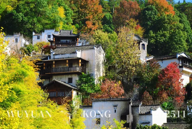 婺源旅遊體驗真的挺好 婺源旅遊體驗真的挺好