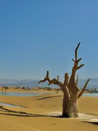 烏海湖反轉之旅！200元解鎖沙漠+冰湖雙重驚