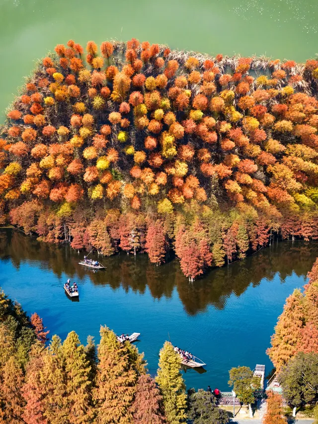 快!尚湖全紅了!現在!立刻!馬上!出發! 快!尚湖全紅了!現在!立刻!馬上!出發!