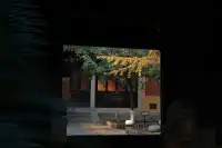 虞山方塔園|八百年銀杏|最佳觀賞期