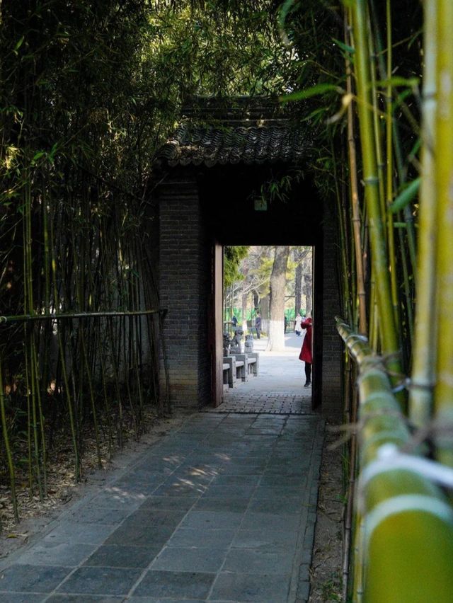 西安博物院覓幽靜