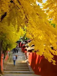 避坑!冬天別從三皇寨上山了這條路線快收好