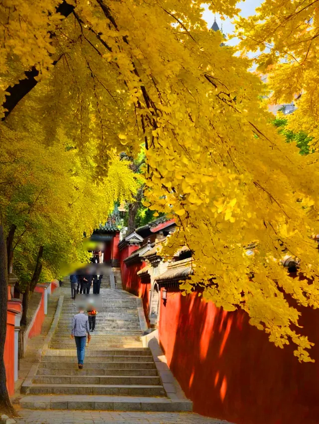 避坑!冬天別從三皇寨上山了這條路線快收好 避坑!冬天別從三皇寨上山了這條路線快收好