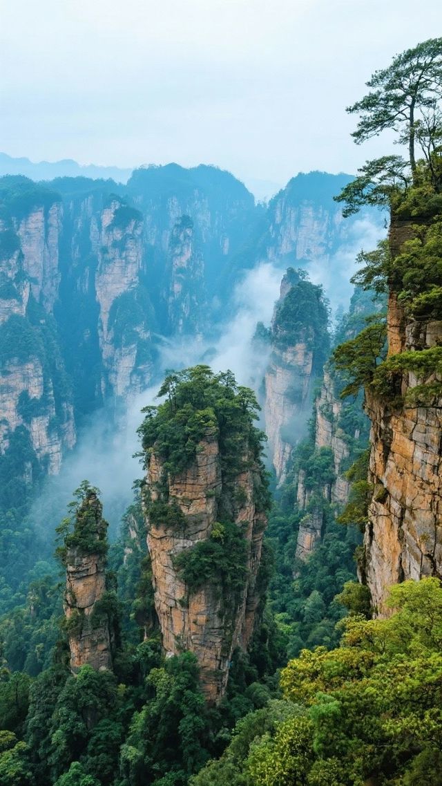 張家界美景，美食
