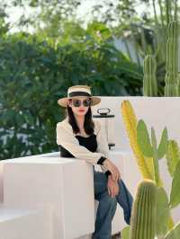 冬季涠洲島反向旅行,太對了