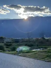 12月的洱海邊,彩林和海鷗也太配了吧