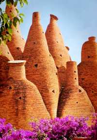 來元陽看一場地球最美的曲線吧!