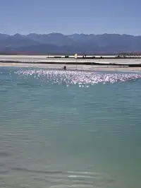 淡季的青海湖茶卡鹽湖一天遊