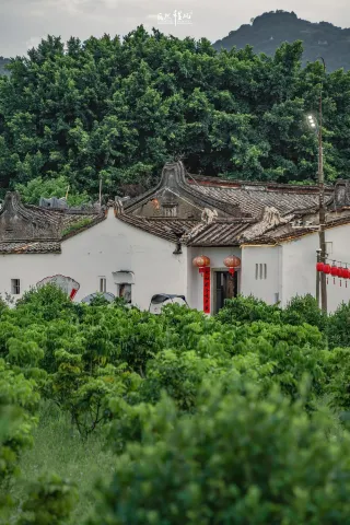 Shishi Yang Village | A Countryside Life in Chaoshan Like Returning to the Garden and Fields
