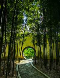 柳州慢遊|住進簡約公寓,邂逅詩意與煙火 這次柳州之旅,被蔓酒店品居公寓的舒適度和城市的美景美食雙