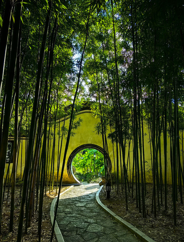 柳州慢遊|住進簡約公寓,邂逅詩意與煙火 這次柳州之旅,被蔓酒店品居公寓的舒適度和城市的美景美食雙 柳州慢遊|住進簡約公寓,邂逅詩意與煙火 這次柳州之旅,被蔓酒店品居公寓的舒適度和城市的美景美食雙