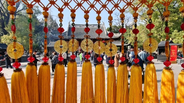 上海を訪ねて：「龍華古寺」の白木蓮 | Trip.com 上海