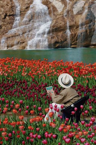 Baoquan Spring Must-Visit Guide