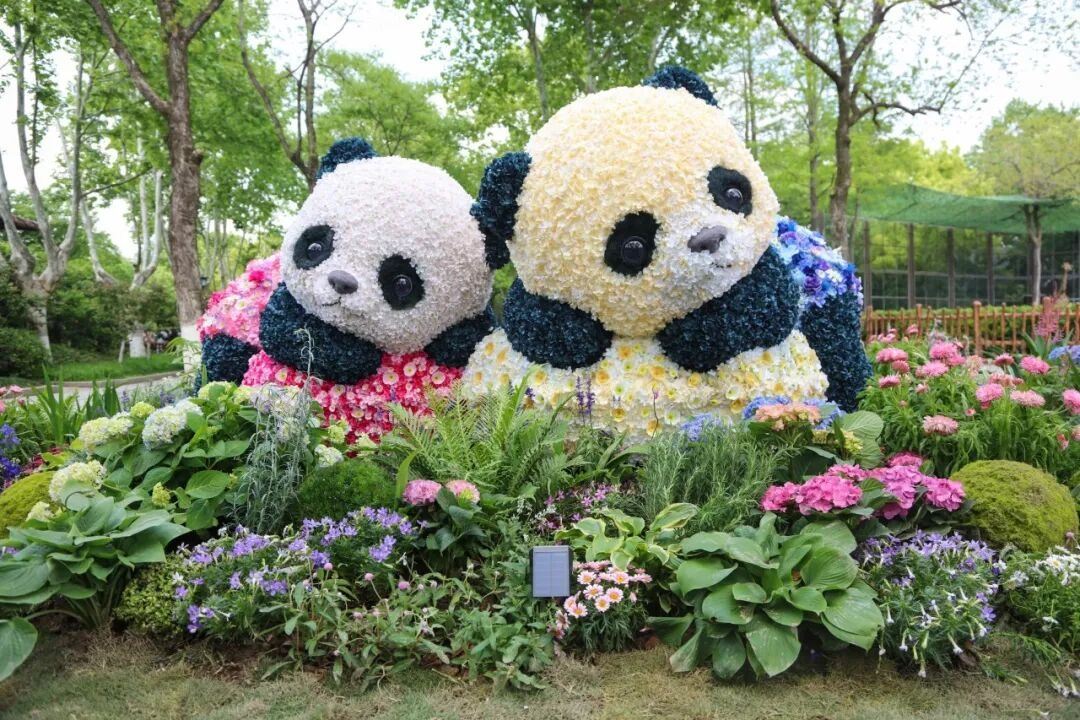 Shanghai Wild Animal Park Flower Festival: Enjoy Flower Sculptures