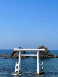 5日日本人均2k+高性價比玩法安利