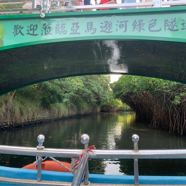 台南四草綠色隧道