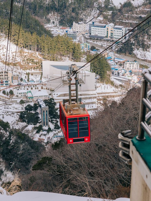 울릉도 여행코스 중 추천하는 독도일출전망대케이블카