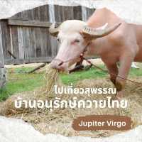 หมู่บ้านอนุรักษ์ควายไทย  🐃